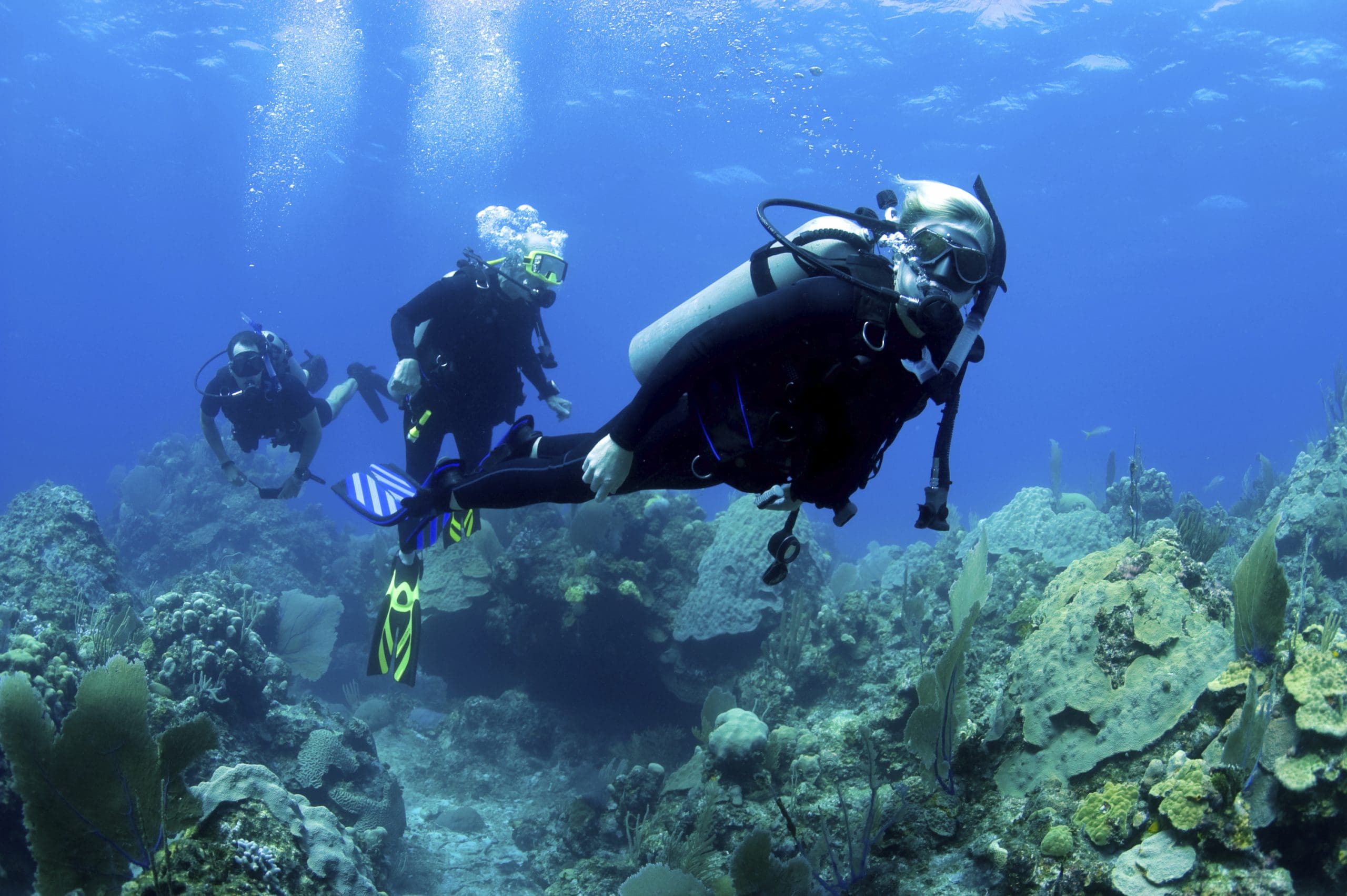 Scuba Refresher Dive
