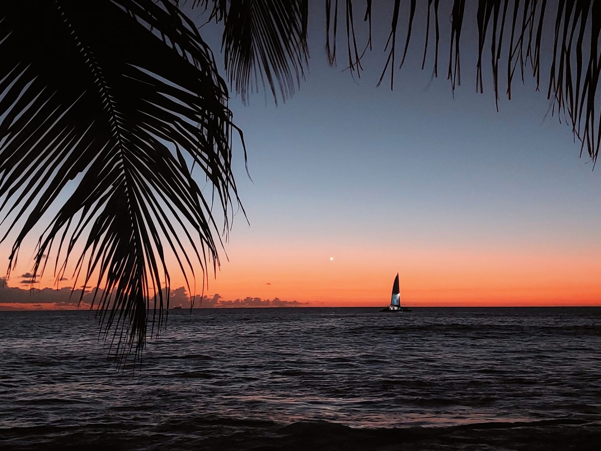 Mambo Sunset Sail