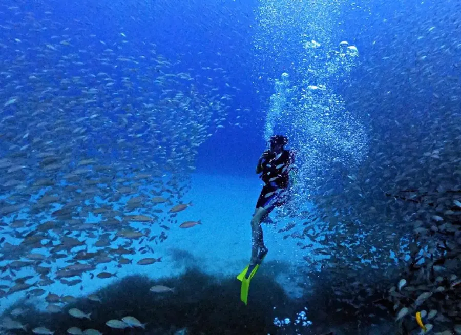 Discover Scuba Diving